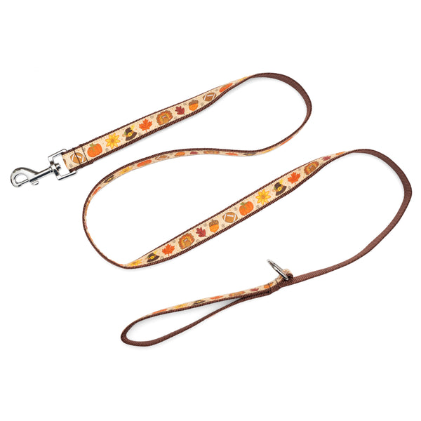 Fallelujah Walk Set – Collar & Leash