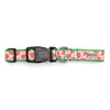 Strawberries Collar