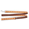Fall Check Walk Set – Collar & Leash