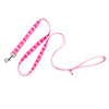 Ombre Lead