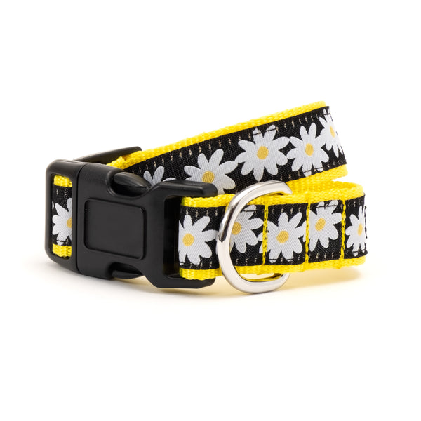Lazy Daisy Collar