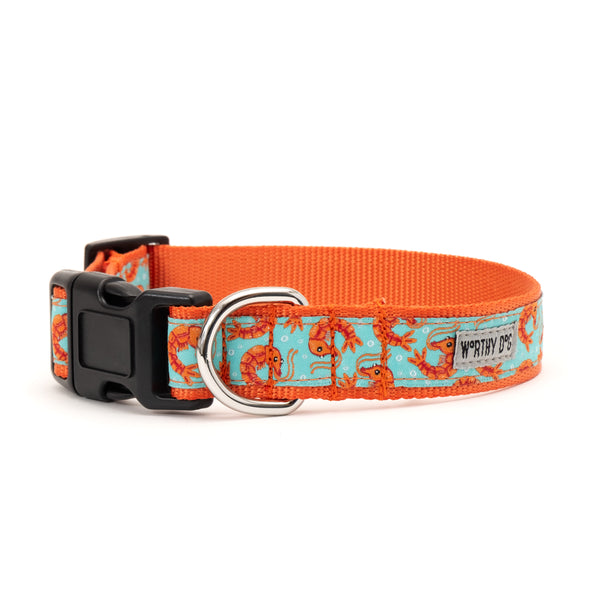 Shrimp Walk Set – Collar & Leash
