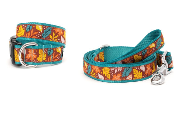 Falling Leaves Walk Set – Collar & Leash