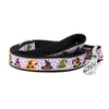 Bewitched Lead
