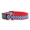 Daisies Walk Set – Collar & Leash
