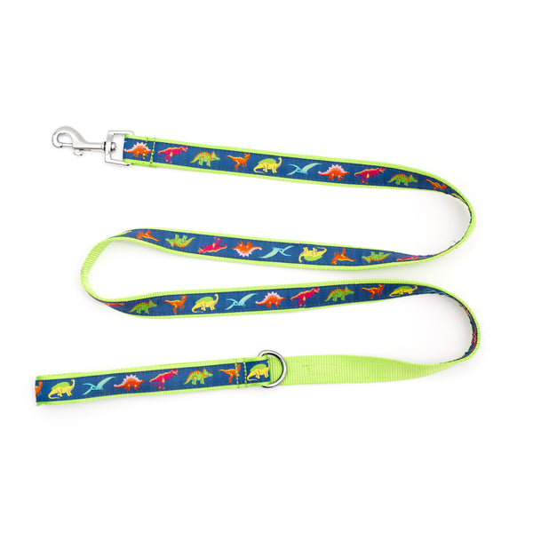 Dino Walk Set – Collar & Leash