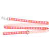 Puppy Love Lead