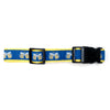 Cheers! Walk Set – Collar & Leash
