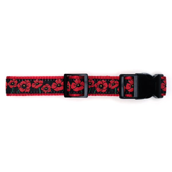 Poppies Walk Set – Collar & Leash