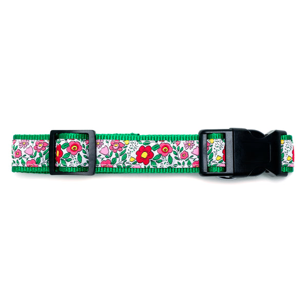 Spring Garden Walk Set – Collar & Leash