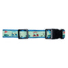 Golf Walk Set – Collar & Leash