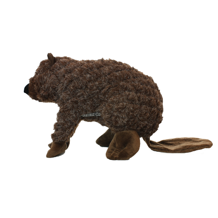Mighty Massive Nature Beaver