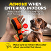 Dogtra PATHFINDER2 MINI GPS Dog Tracking & Training Collar | 4-Mile Range | Up to 21 Dogs