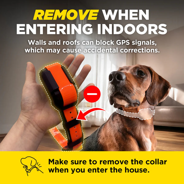 Dogtra PATHFINDER2 MINI GPS Dog Tracking & Training Collar | 4-Mile Range | Up to 21 Dogs