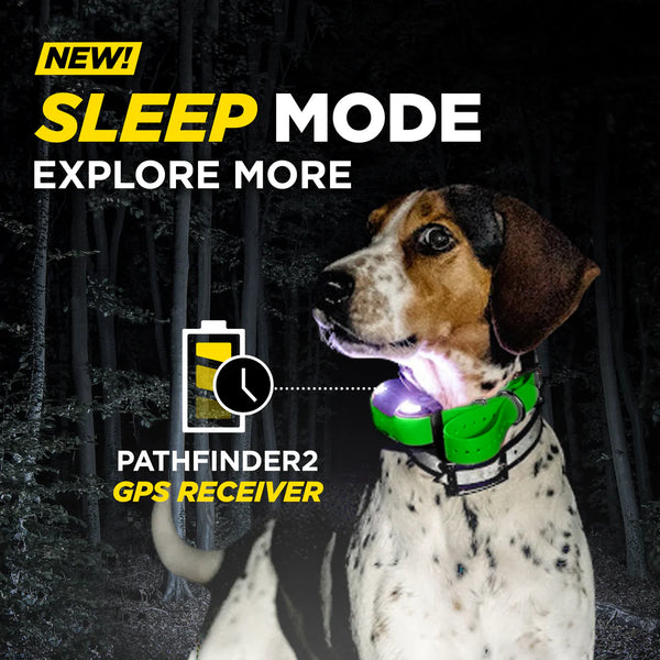 Dogtra PATHFINDER2 Additional GPS E-Collar Receiver | For Multi-Dog Tracking & Training - Green