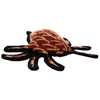 Tuffy Desert Spider