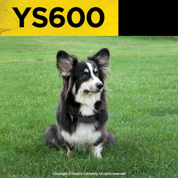 Dogtra YS600 No Bark Collar | Automatic Bark Control for Large & Stubborn Dogs