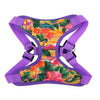 Adjustable Choke-Free Step-In Dog Harness – Easy Snap Fit