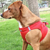 Choke-Free Step-In Dog Harness – Breathable Mesh & Secure Fit (Solid)