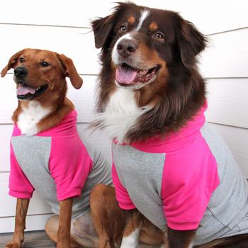 Color-Block Hoodie - Pink on Gray