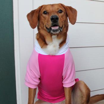 Color-Block Hoodie - Pink on Pink