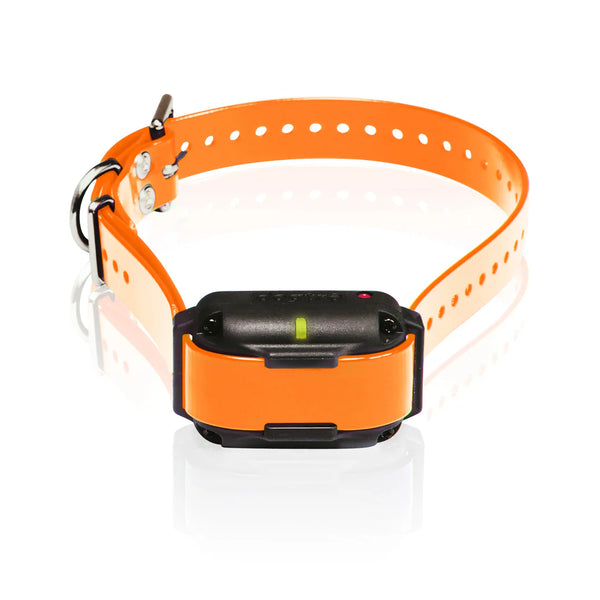 Dogtra EDGE RT Additional E-Collar Receiver | For Multi-Dog Training - Orange