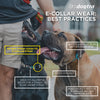 Dogtra EDGE Remote Training E-Collar | 1 Mile Range | Up to 4 Dogs