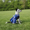 Dog Harness Dress & Leash Set – Blue Gingham Classic
