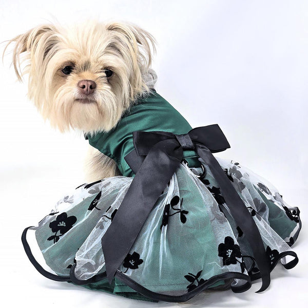 Dog Harness Dress & Leash Set – Green & Black Satin