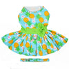 Dog Harness Dress & Leash Set – Pineapple Luau Tropical