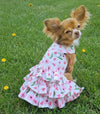 Dog Harness Dress & Leash Set – Spring Wildflower Floral