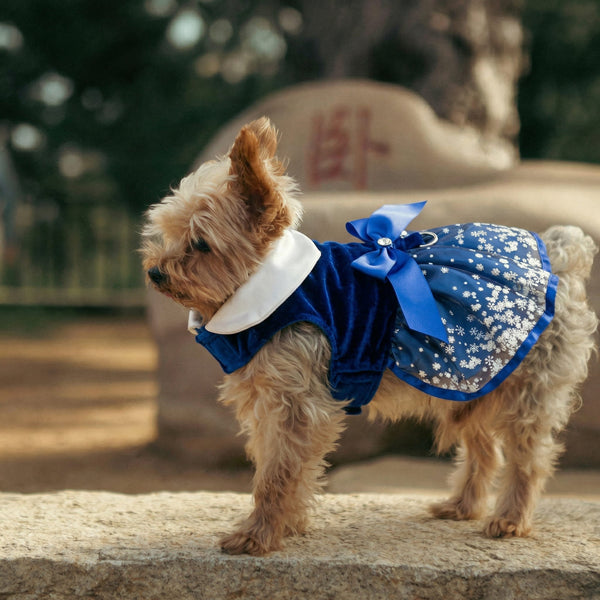 Dog Harness Holiday Dress & Leash Set – Blue Snowflakes