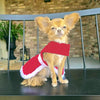 Dog Harness Holiday Dress & Leash Set – Red Velvet Sparkle