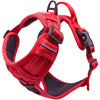 No-Pull Dog Harness – Dual Clip Control (Durable Canvas)
