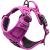 No-Pull Dog Harness – Dual Clip Control (Durable Canvas)