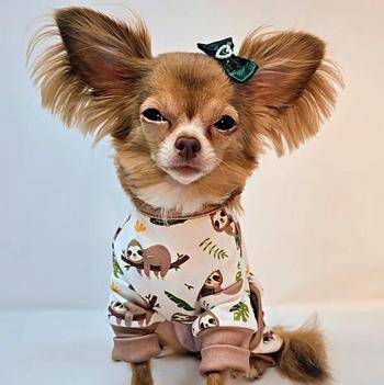 Soft Dog Pajamas - Sloths