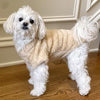 Soft Pullover - Cream