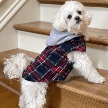 Weekender Hoodie - Red & Black Plaid Flannel